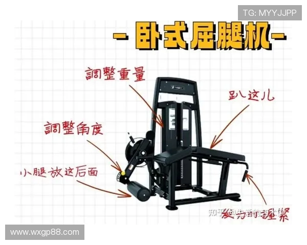 臀腿训练专用健身器材推荐与使用指南 臀腿训练专用健身器材推荐与使用指南