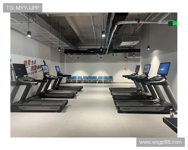 西昌舒华健身器材门店位置与产品介绍 西昌舒华健身器材门店位置与产品介绍