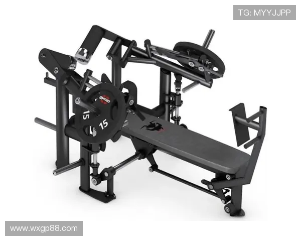 赛玛健身器材的品牌特色与用户评价 赛玛健身器材的品牌特色与用户评价