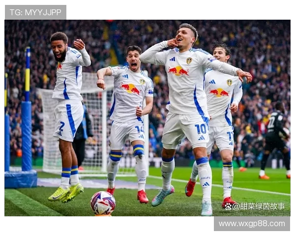 布里斯托2019是否进入英超?球队晋级与发展现状一览 布里斯托2019是否进入英超?球队晋级与发展现状一览