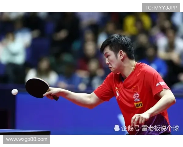 WTT世界杯与传统足球世界杯有何不同解析