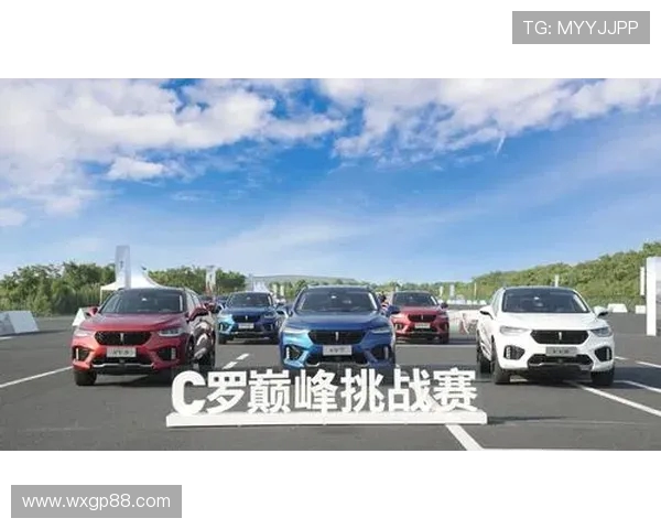 围绕pit bull世界杯的激情对决与全球犬迷狂欢盛典巅峰赛事