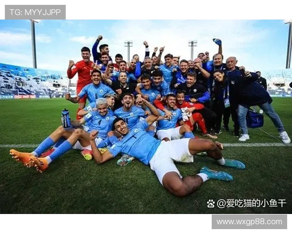 巴西世界杯上谁捧起了冠军奖杯揭示背后的故事与荣光